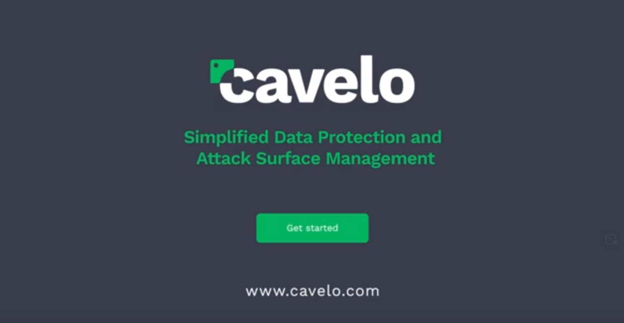 Image from a video I made for Cavelo